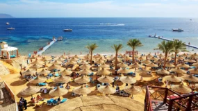7 Nights from Jeddah to Saba Beach on Jabal Al Sabaya Island & Safaga